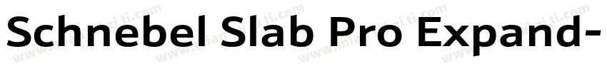 Schnebel Slab Pro Expand字体转换